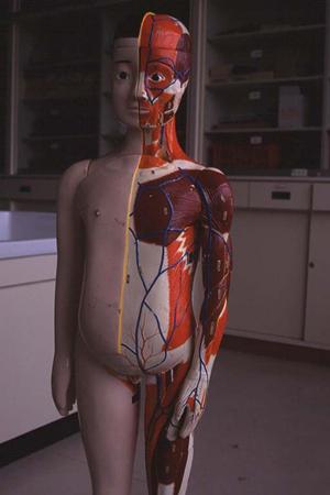 福岡市でインプラント治療を受けるなら