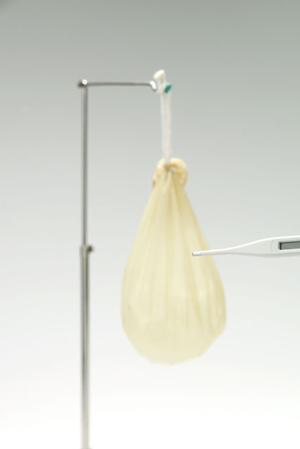 2025年最新|渋谷で評判の歯医者を徹底比較！信頼と安心のクリニックガイド