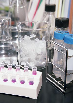 京都で目立たない矯正をする歯医者を探す